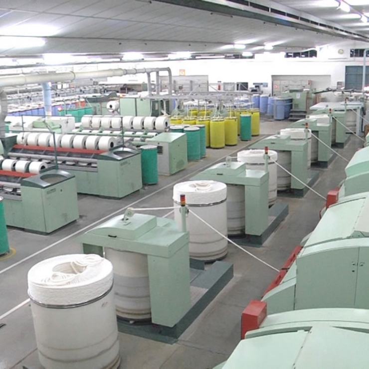 Rajapalayam Mills Ltd